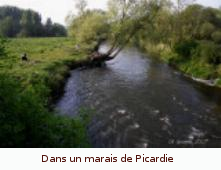 Paul Vimereu dans un marais de Picardie